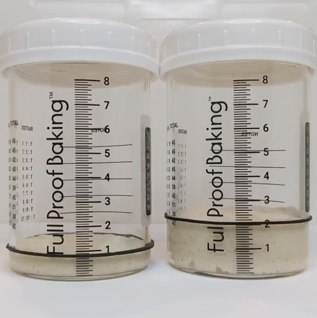 Full Proof Baking Sourdough Starter Kit | 1/2 Hour Guide Video (link) | Two  10oz Glass Smart Jars w/Thermometers, Rulers, Feeding Ratios | Digital
